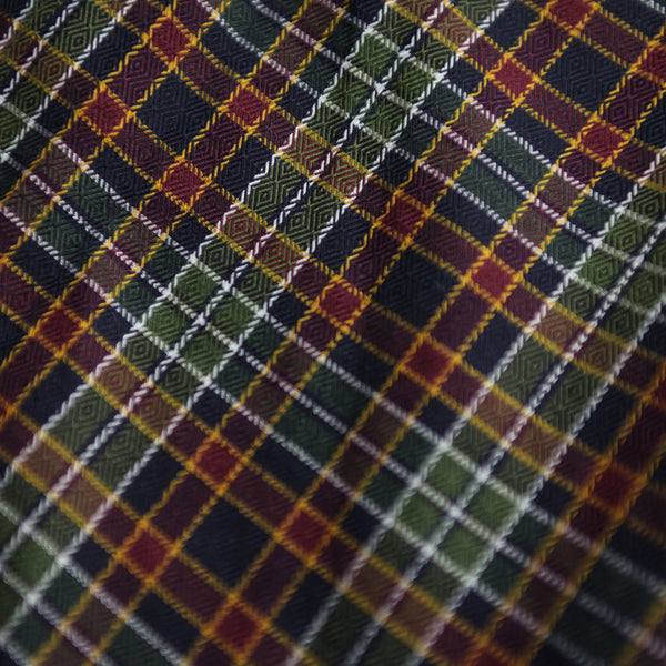 Louis Vuitton AW 2013 Sample Fine Check Shirt